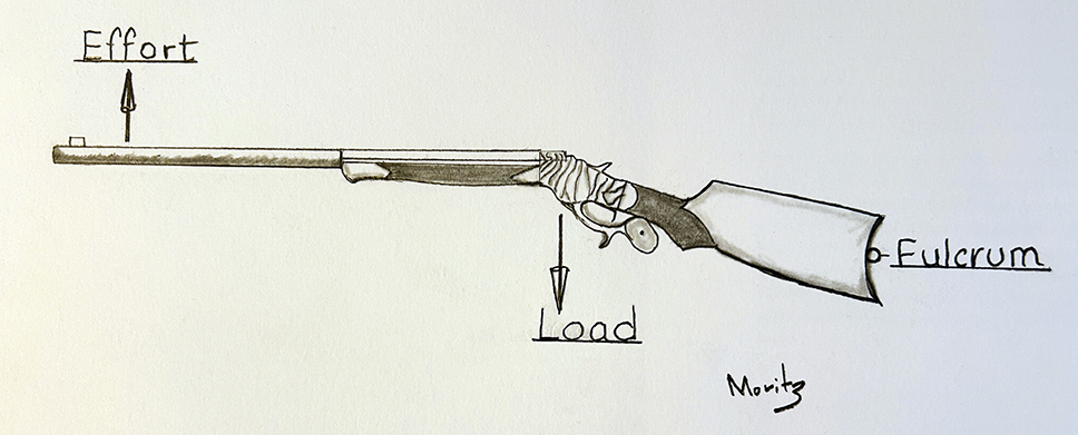 Drawing of a second-class lever, required load for holding a rifle offhand.